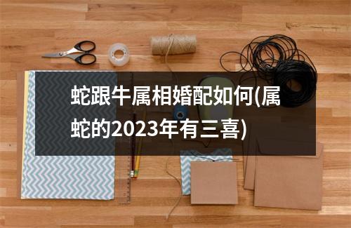 蛇跟牛属相婚配如何(属蛇的2023年有三喜)