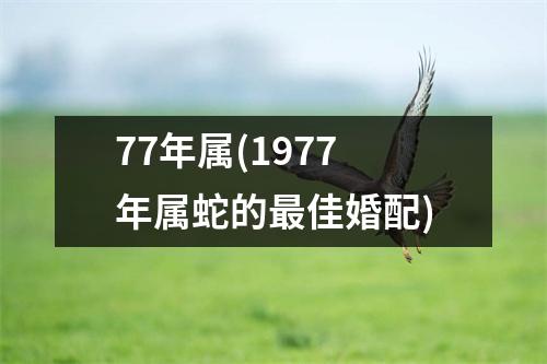 77年属(1977年属蛇的佳婚配)