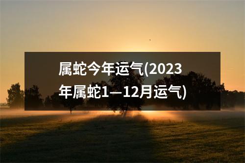 属蛇今年运气(2023年属蛇1—12月运气)