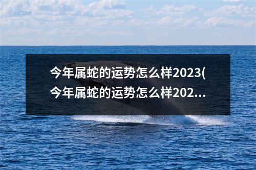 今年属蛇的运势怎么样2023(今年属蛇的运势怎么样2023年运程)