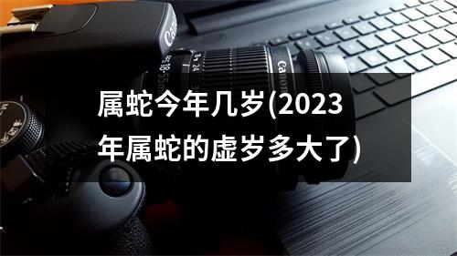 属蛇今年几岁(2023年属蛇的虚岁多大了)