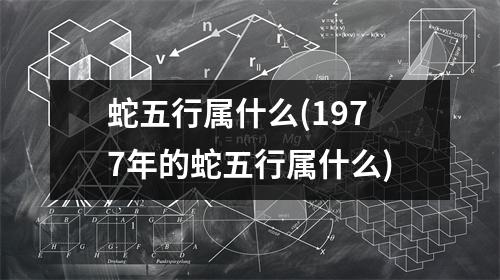 蛇五行属什么(1977年的蛇五行属什么)