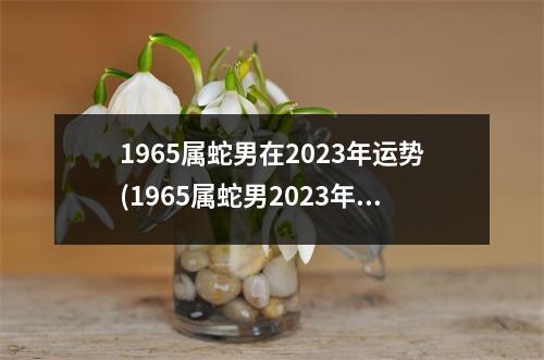 1965属蛇男在2023年运势(1965属蛇男2023年运势和财运怎么样)