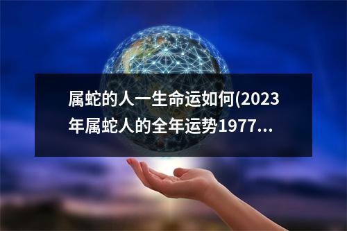 属蛇的人一生命运如何(2023年属蛇人的全年运势1977出生)