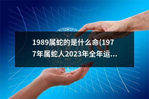 1989属蛇的是什么命(1977年属蛇人2023年全年运势男)