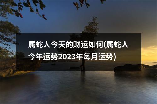 属蛇人今天的财运如何(属蛇人今年运势2023年每月运势)