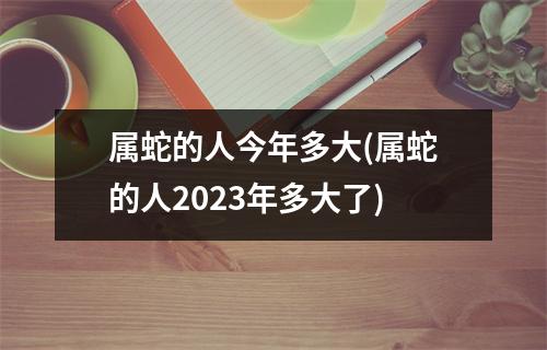 属蛇的人今年多大(属蛇的人2023年多大了)