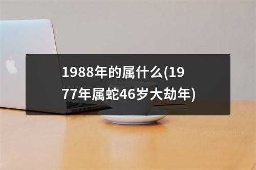 1988年的属什么(1977年属蛇46岁大劫年)