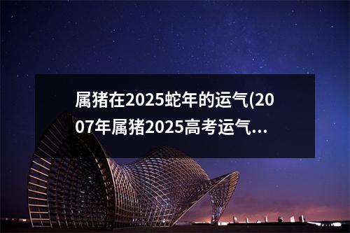 属猪在2025蛇年的运气(2007年属猪2025高考运气怎样)