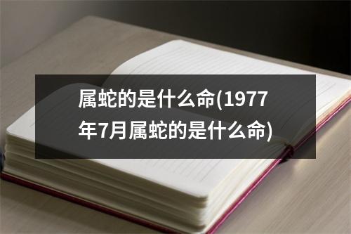 属蛇的是什么命(1977年7月属蛇的是什么命)