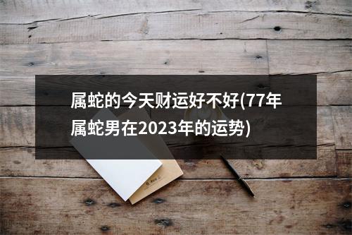 属蛇的今天财运好不好(77年属蛇男在2023年的运势)