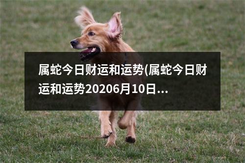 属蛇今日财运和运势(属蛇今日财运和运势20206月10日)