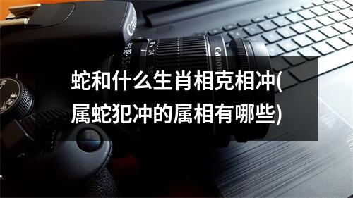 蛇和什么生肖相克相冲(属蛇犯冲的属相有哪些)