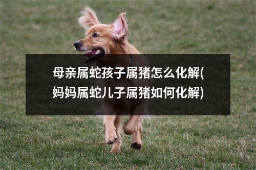 母亲属蛇孩子属猪怎么化解(妈妈属蛇儿子属猪如何化解)