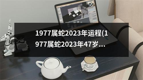 1977属蛇2023年运程(1977属蛇2023年47岁以后运气)