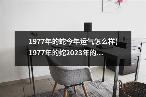 1977年的蛇今年运气怎么样(1977年的蛇2023年的运势怎么样)