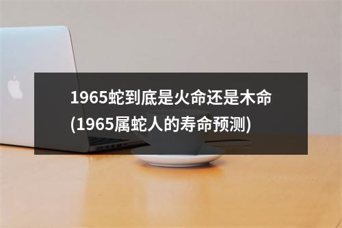 1965蛇到底是火命还是木命(1965属蛇人的寿命预测)