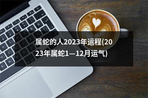 属蛇的人2023年运程(2023年属蛇1—12月运气)