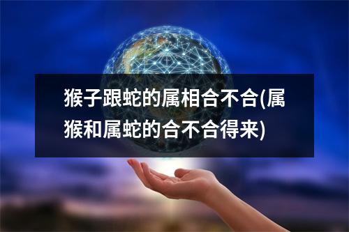 猴子跟蛇的属相合不合(属猴和属蛇的合不合得来)