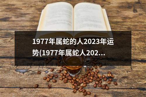 1977年属蛇的人2023年运势(1977年属蛇人2023年运势男性77蛇男今年每月运势)