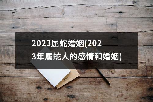 2023属蛇婚姻(2023年属蛇人的感情和婚姻)