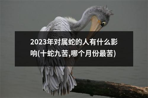 2023年对属蛇的人有什么影响(十蛇九苦,哪个月份苦)