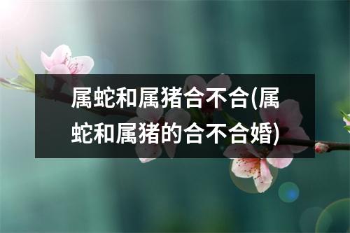 属蛇和属猪合不合(属蛇和属猪的合不合婚)