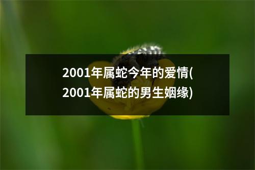 2001年属蛇今年的爱情(2001年属蛇的男生姻缘)