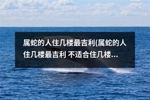 属蛇的人住几楼吉利(属蛇的人住几楼吉利 不适合住几楼)