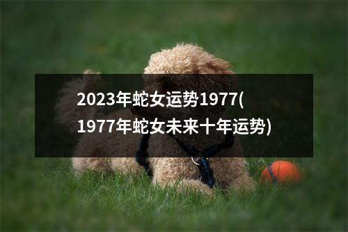 2023年蛇女运势1977(1977年蛇女未来十年运势)