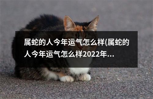 属蛇的人今年运气怎么样(属蛇的人今年运气怎么样2022年,几月份的运气好呢)