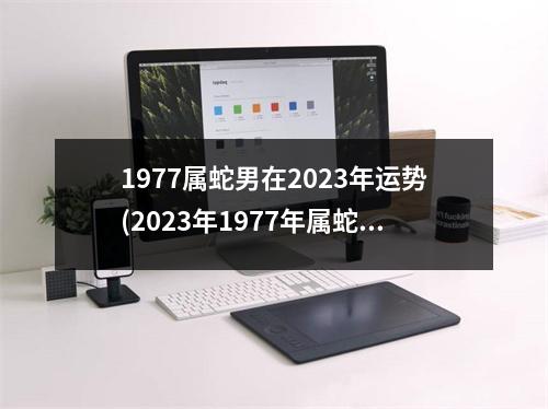 1977属蛇男在2023年运势(2023年1977年属蛇男家庭)