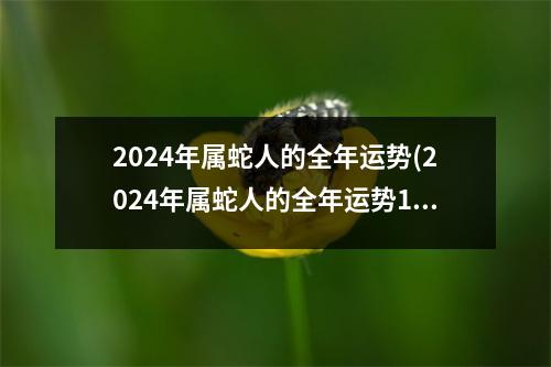 2024年属蛇人的全年运势(2024年属蛇人的全年运势1977出生女)