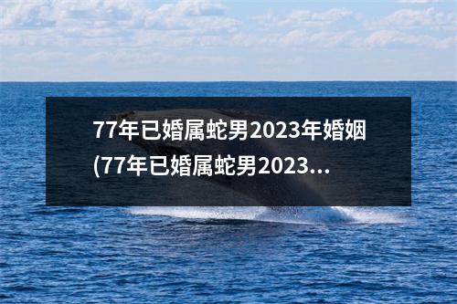 77年已婚属蛇男2023年婚姻(77年已婚属蛇男2023年婚姻家庭幸福吗)