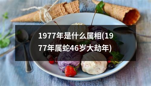 1977年是什么属相(1977年属蛇46岁大劫年)