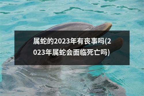 属蛇的2023年有丧事吗(2023年属蛇会面临死亡吗)