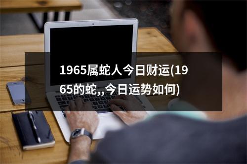 1965属蛇人今日财运(1965的蛇,,今日运势如何)