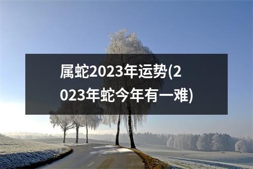 属蛇2023年运势(2023年蛇今年有一难)