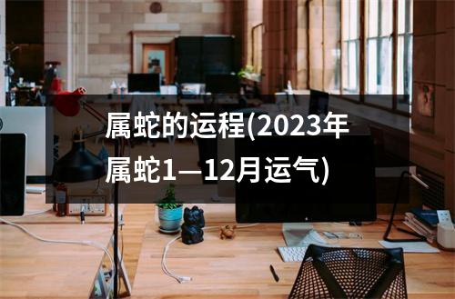 属蛇的运程(2023年属蛇1—12月运气)