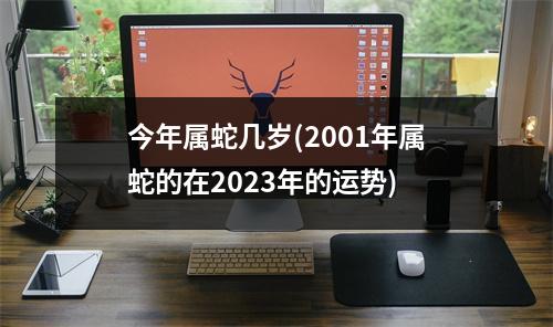 今年属蛇几岁(2001年属蛇的在2023年的运势)