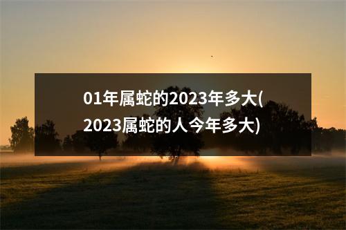 01年属蛇的2023年多大(2023属蛇的人今年多大)