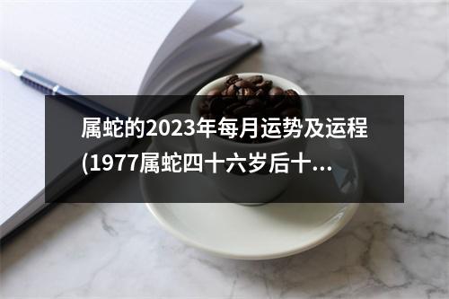 属蛇的2023年每月运势及运程(1977属蛇四十六岁后十年大运)