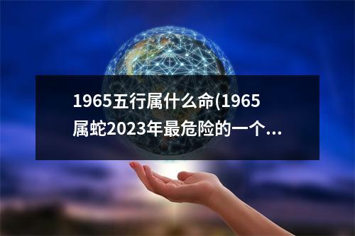 1965五行属什么命(1965属蛇2023年危险的一个月)