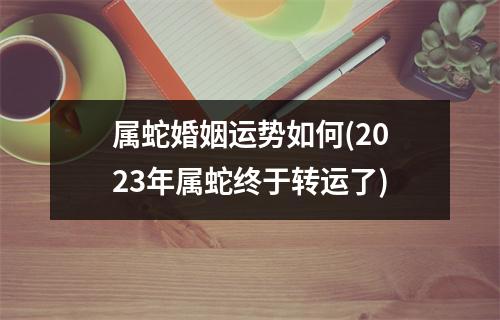 属蛇婚姻运势如何(2023年属蛇终于转运了)