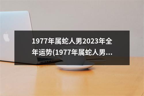 1977年属蛇人男2023年全年运势(1977年属蛇人男2023年全年运势到底好不好)