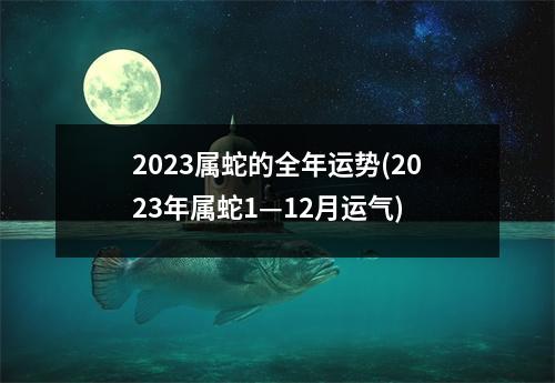 2023属蛇的全年运势(2023年属蛇1—12月运气)