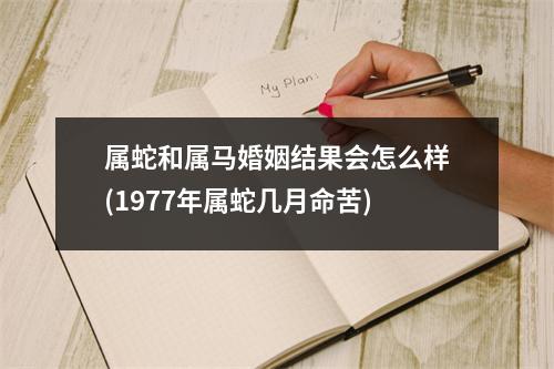 属蛇和属马婚姻结果会怎么样(1977年属蛇几月命苦)