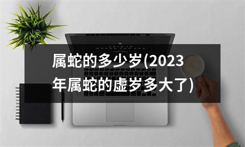 属蛇的多少岁(2023年属蛇的虚岁多大了)