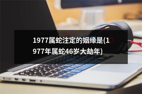 1977属蛇注定的姻缘是(1977年属蛇46岁大劫年)