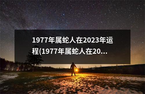 1977年属蛇人在2023年运程(1977年属蛇人在2023年运程事业怎么样)